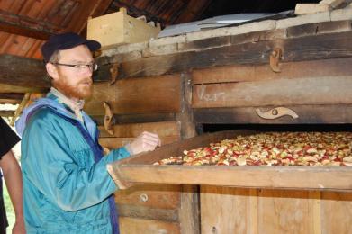 Sušení jablek v tradiční sušírně